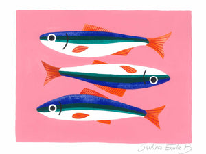 Sardines
