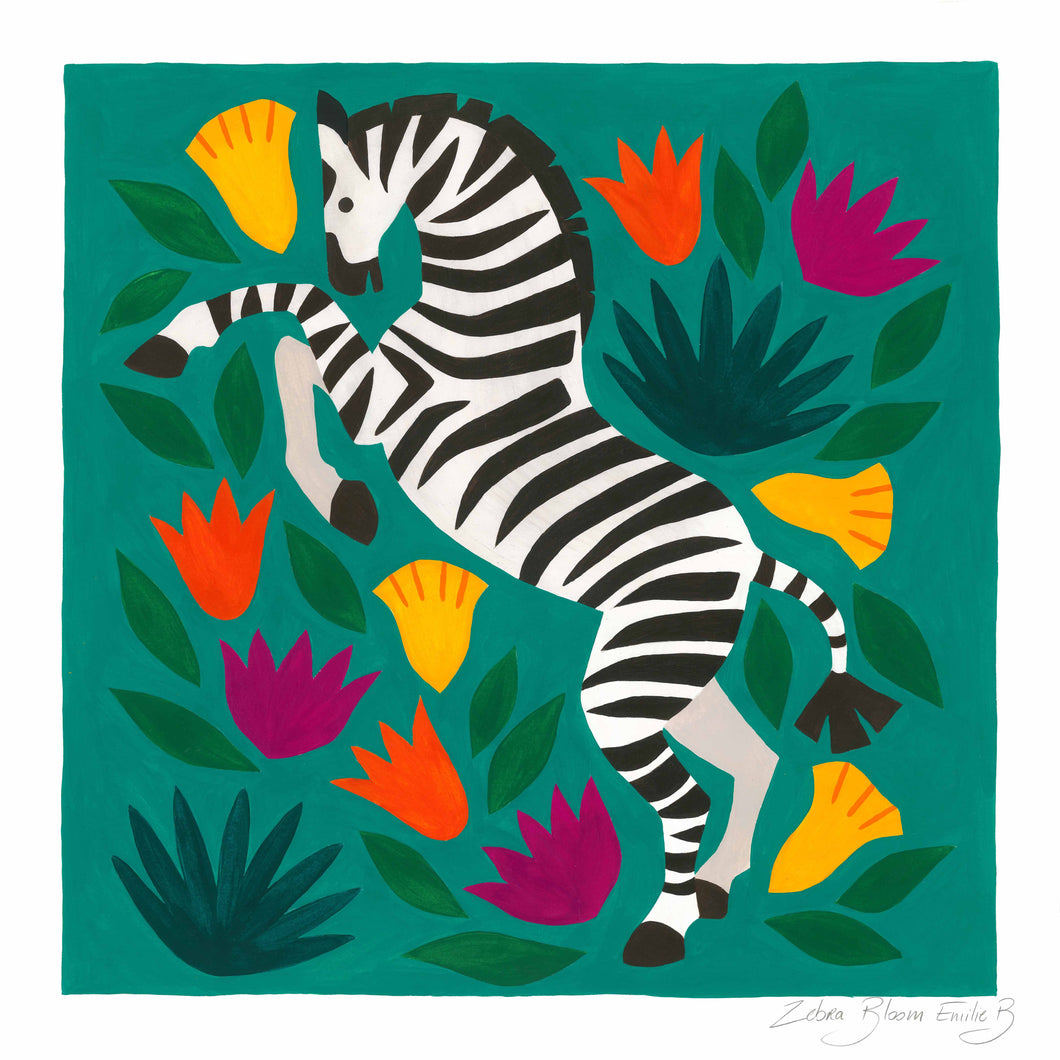 Zebra Bloom